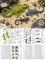 Preview: 680 Klöppelbrief "Kanaren- Geckos - Las salamanquesas" in 3 verschiedenen Größen