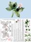 Preview: 283 Bastelset „Brombeere“