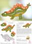 Preview: 449 Klöppelbrief Dinosaurier "Stegosaurus"