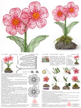 584 Klöppelbrief "Primel"  -   Blümchen in 3D-Optik