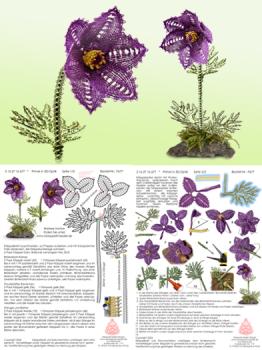 677 Klöppelbrief "Kuhschelle"   -   Blümchen in 3D-Optik
