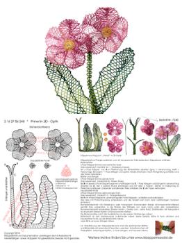 248 Klöppelbrief "Primel"  -   Blümchen in 3D-Optik
