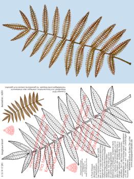 291 Klöppelbrief "Essigbaumblatt“