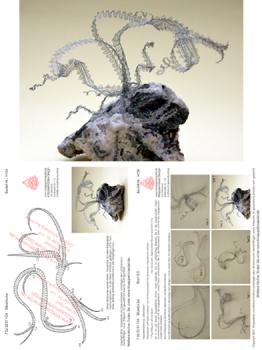 154 Klöppelbrief „Silberlocke“ Miniatur