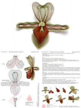 173 Klöppelbrief Orchidee „Frauenschuh“
