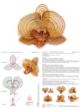 174 Klöppelbrief Orchidee „Phalenopsis“