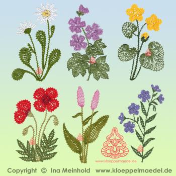 Preview: 477 Klöppelbrief "6 Motive" Sommerwiese