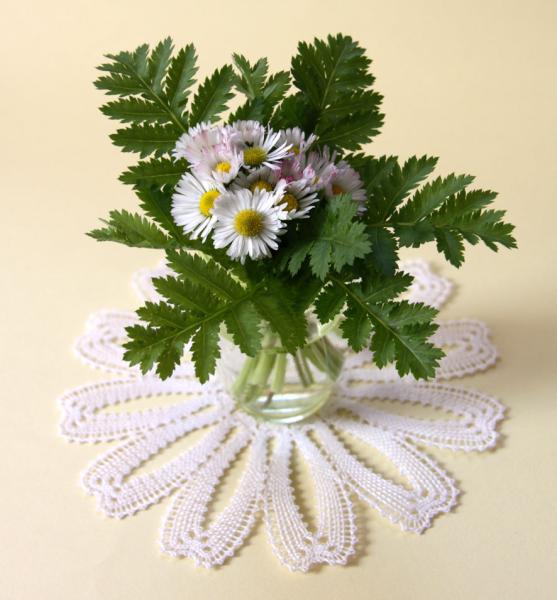 196 Klöppelbrief  Blütendeckchen "Gänseblümchen"