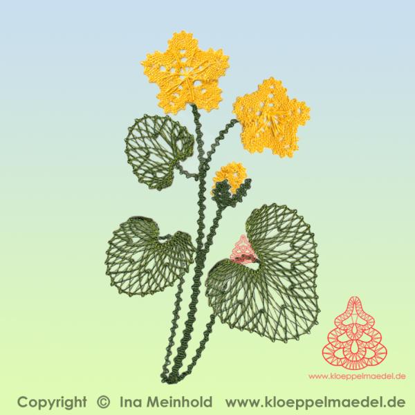 473 Klöppelbrief "Sumpfdotterblume" aus Sommerwiese