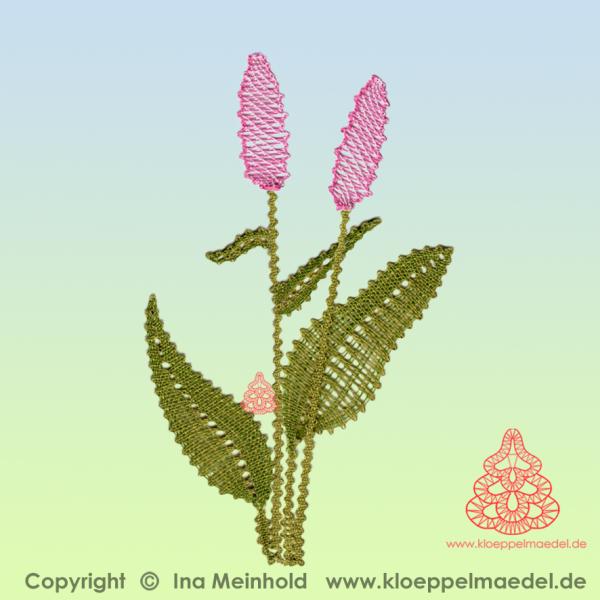 475 Klöppelbrief "Wiesenknöterich" aus Sommerwiese